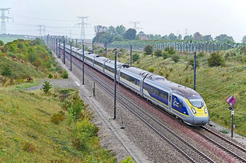 can dogs travel on trains in europe